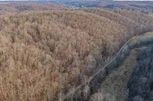 31201 Claypool Hollow Rd, McArthur, OH 45651 - Photo 83