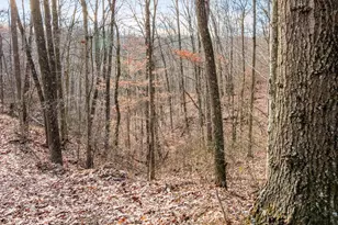 31201 Claypool Hollow Rd, McArthur, OH 45651 - Photo 57