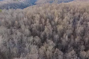 31201 Claypool Hollow Rd, McArthur, OH 45651 - Photo 77