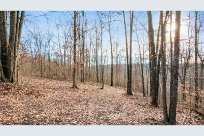 31201 Claypool Hollow Road, McArthur, OH 45651 - Photo 55