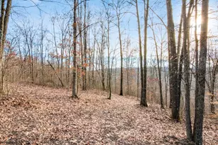 31201 Claypool Hollow Rd, McArthur, OH 45651 - Photo 55