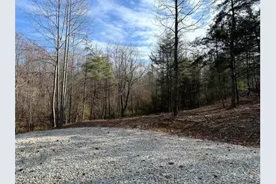 0 Dutch Ridge Road #(Woods Turkey Run Tract 2), New Lexington, OH 43764 - Photo 5