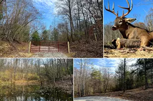 0 Dutch Ridge Rd, New Lexington, OH 43764 - Photo 1