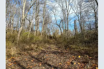 0 Dutch Ridge Road #(Woods Turkey Run Tract 2), New Lexington, OH 43764 - Photo 25