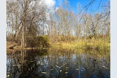 0 Dutch Ridge Road #(Woods Turkey Run Tract 2), New Lexington, OH 43764 - Photo 37