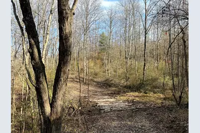 0 Dutch Ridge Road #(Woods Turkey Run Tract 2), New Lexington, OH 43764 - Photo 23