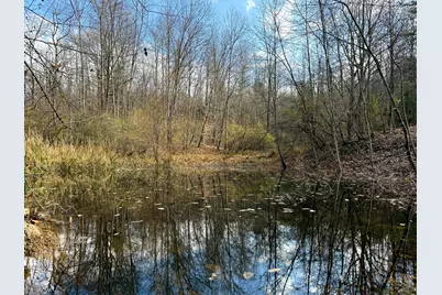 0 Dutch Ridge Road #(Woods Turkey Run Tract 2), New Lexington, OH 43764 - Photo 35