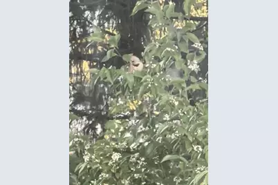 6497 Highlawn Drive, Columbus, OH 43229 - Photo 45