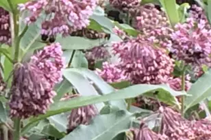 6497 Highlawn Dr, Columbus, OH 43229 - Photo 57