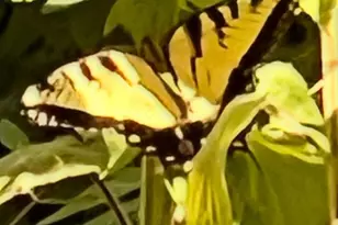 6497 Highlawn Dr, Columbus, OH 43229 - Photo 55