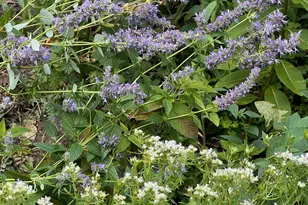 6497 Highlawn Dr, Columbus, OH 43229 - Photo 67