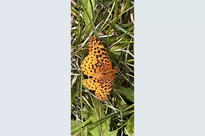 6497 Highlawn Drive, Columbus, OH 43229 - Photo 81