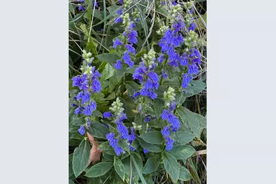 6497 Highlawn Drive, Columbus, OH 43229 - Photo 63