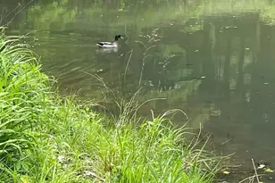 12117 Techniglas Rd, Saint Louisville, OH 43071 - Photo 9