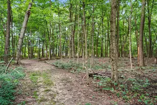 6701 Miller-Paul Rd, Westerville, OH 43082 - Photo 121