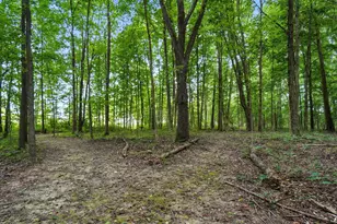 6701 Miller-Paul Rd, Westerville, OH 43082 - Photo 123