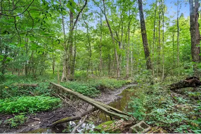 6701 Miller Paul Road, Westerville, OH 43082 - Photo 129