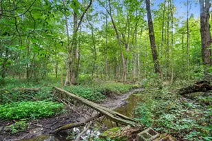 6701 Miller-Paul Rd, Westerville, OH 43082 - Photo 129