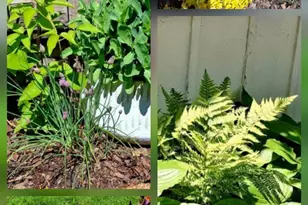 115 6th St, Lancaster, OH 43130 - Photo 19