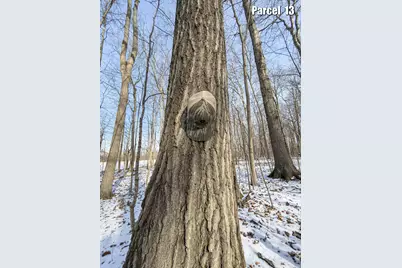 0 Hinton Mill Road, Marysville, OH 43040 - Photo 47