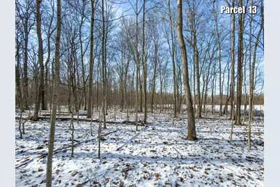 0 Hinton Mill Road, Marysville, OH 43040 - Photo 45