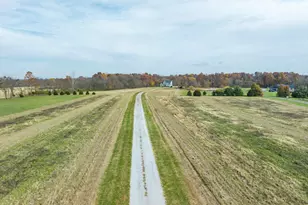 9161 Black Rabbit Rd, Leesburg, OH 45135 - Photo 13