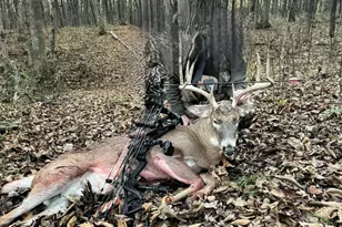 9161 Black Rabbit Rd, Leesburg, OH 45135 - Photo 63