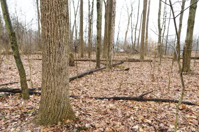 12025 Pleasant Valley Road NE, Frazeysburg, OH 43822 - Photo 25