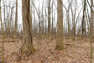 12025 Pleasant Valley Road NE, Frazeysburg, OH 43822 - Photo 21