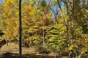 7916 Bridge Crossing Ct, Powell, OH 43065 - Photo 29