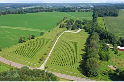 26367 Danville Amity Road, Danville, OH 43014 - Photo 5