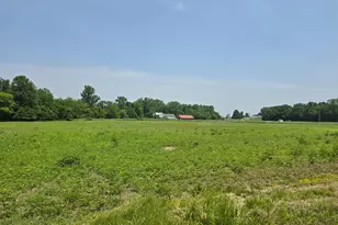 001 Reichelderfer St, Cardington, OH 43315 - Photo 3