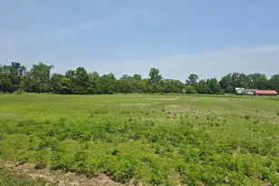 001 Reichelderfer St, Cardington, OH 43315 - Photo 7