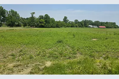 002 Reichelderfer Street, Cardington, OH 43315 - Photo 5