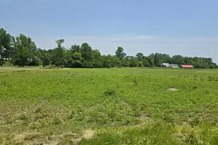 002 Reichelderfer St, Cardington, OH 43315 - Photo 5