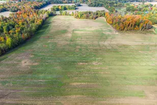 001 County Road 23, Cardington, OH 43315 - Photo 5