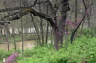 7049 Riverside Dr, Dublin, OH 43016 - Photo 5