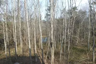 31044 Mays Rd, Logan, OH 43138 - Photo 9