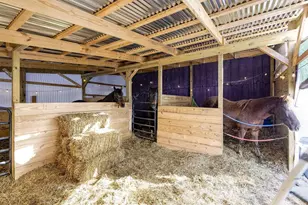 14799 Millersburg Rd, Danville, OH 43014 - Photo 45