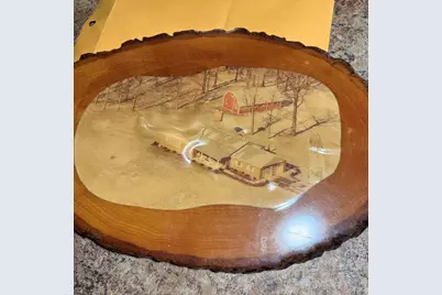 3695 McNaul Road, Mansfield, OH 44903 - Photo 41