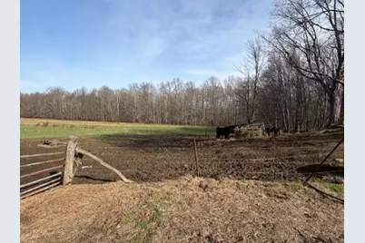 540 Flagdale Road S, Junction City, OH 43748 - Photo 39