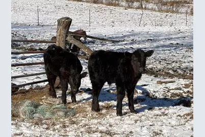 540 Flagdale Road S, Junction City, OH 43748 - Photo 41