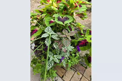 1689 State Route 314 N, Crestline, OH 44827 - Photo 75