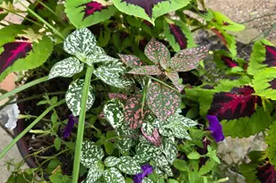 1689 State Route 314 N, Crestline, OH 44827 - Photo 75