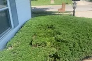 2713 Marview Rd, Columbus, OH 43219 - Photo 9