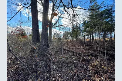 0 Golf Course Road #(Tract 3 SkylineAcres), Waverly, OH 45690 - Photo 23