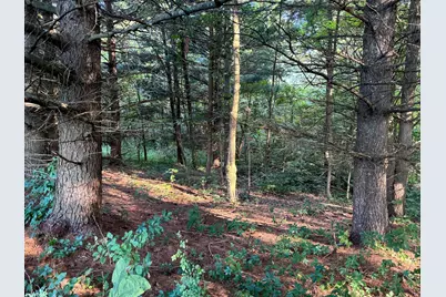 0 Golf Course Road #(Tract 3 SkylineAcres), Waverly, OH 45690 - Photo 27