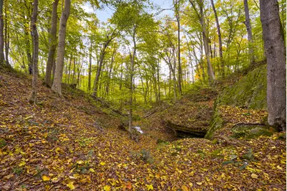 28132 Dupler, Rockbridge, OH 43149 - Photo 125