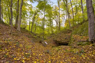 28132 Dupler, Rockbridge, OH 43149 - Photo 125