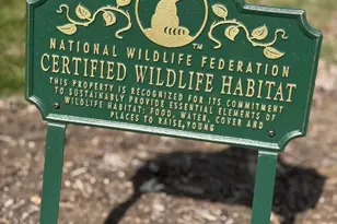 4672 Sperry Ave, Columbus, OH 43230 - Photo 27